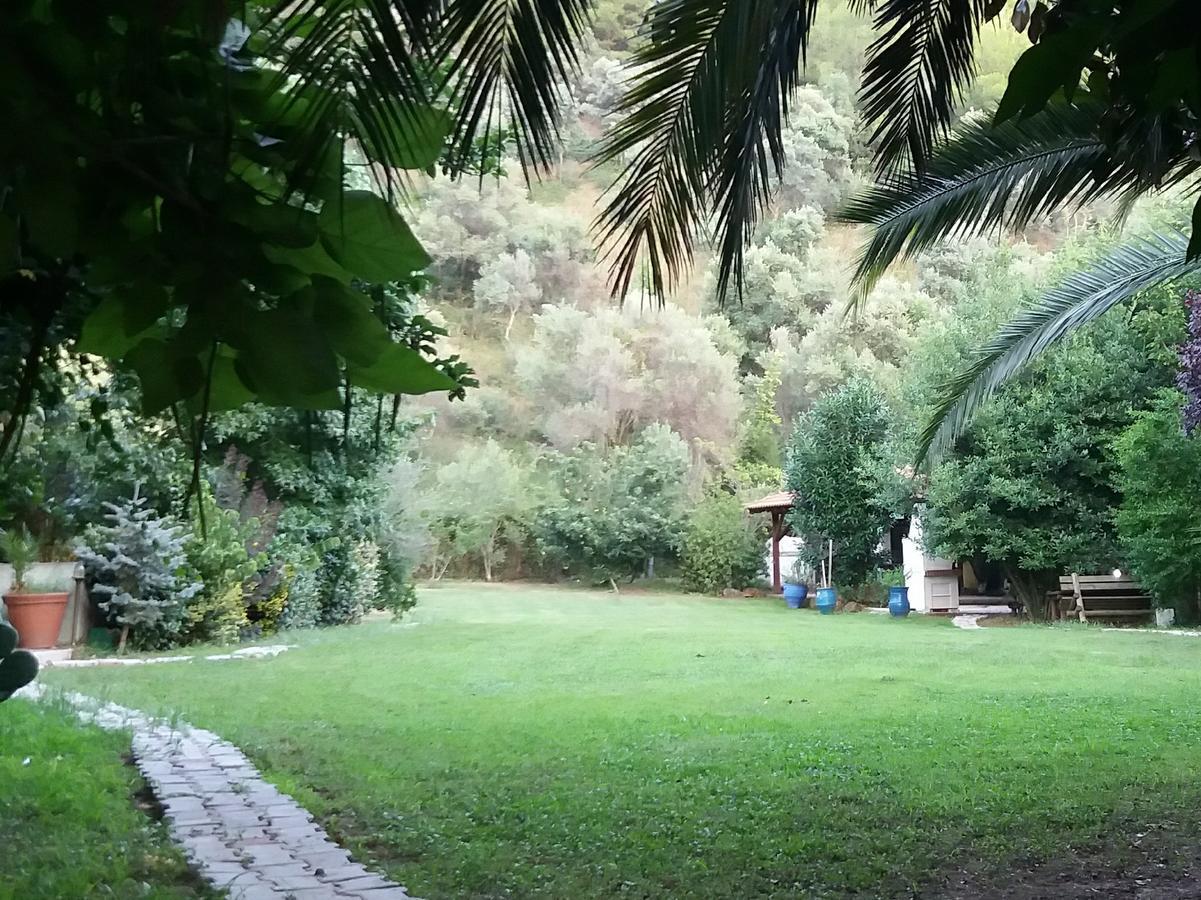 Portoagali
