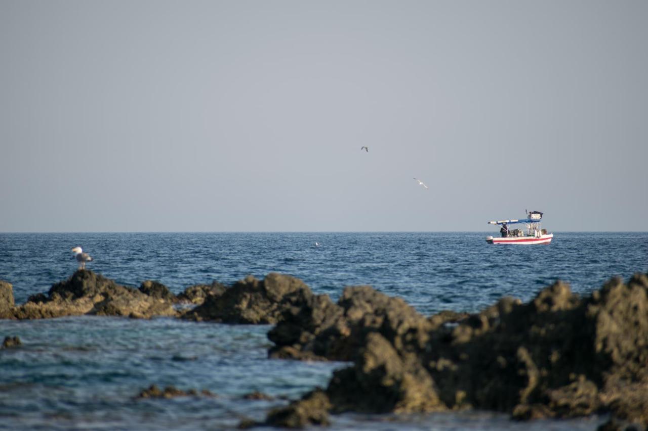 Portoagali *